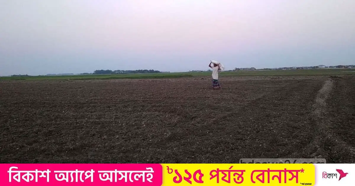 Bangladesh heaves a sigh of relief as fertilizer prices fall in global market