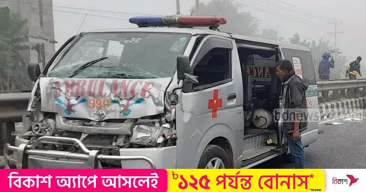 Three including college student died in Tangail road accident