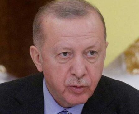 Turkey, Syria leaders can meet for peace: Erdogan