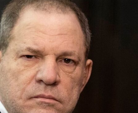 Harvey Weinstein asks New York top court to defer 2020 rape sentencing