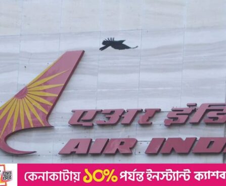 Tata's Air India to seal half of jumbo plane orders
