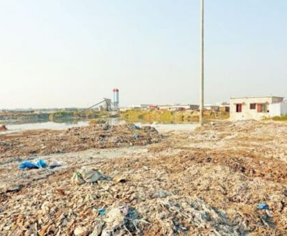 'Government should take steps to save environment from tannery pollution'