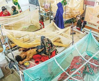 48 more dengue patients admitted to hospital in 24 hours