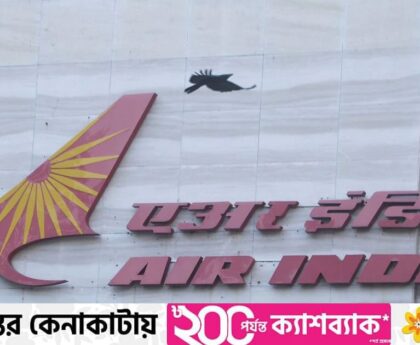 Air India has option to buy more 370 jets after big order: Executive