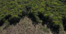 Amazon forest pollution saves $2 billion in healthcare