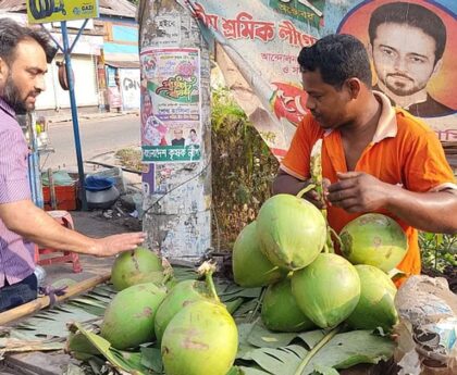 The price of green coconut hit a century in Bagerhat