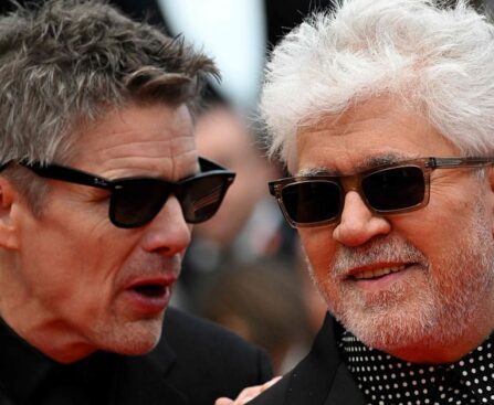 Almodovar's 'queer' Western heats up rainy Cannes