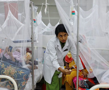Dengue fever: 10 more dead, 2,764 hospitalized