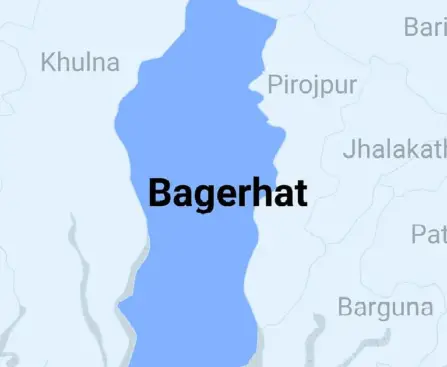 Mother-daughter stabbed to death in Bagerhat