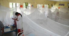 Dengue: 14 more people died in 24 hours