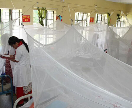 Dengue: 14 more people died in 24 hours