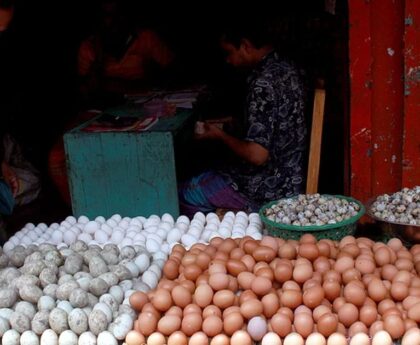 How do syndicates increase the price of eggs?