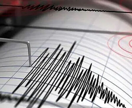 Strongest earthquake in Bangladesh in 20 years