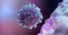 US CDC tracks down new lineage of virus that causes Covid