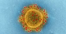 WHO identifies new coronavirus 'variant of interest'