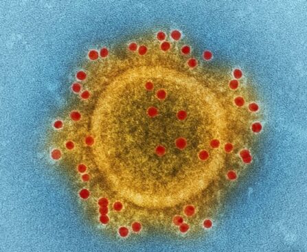 WHO identifies new coronavirus 'variant of interest'