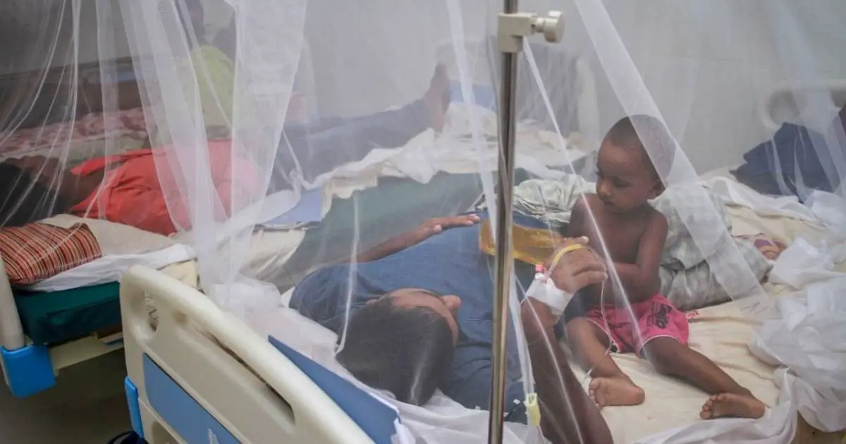 Dengue killed 12 more people in 24 hours