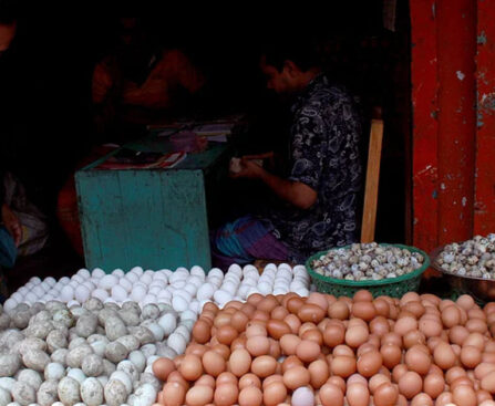 Government allows agencies to import 40 million eggs at lower prices