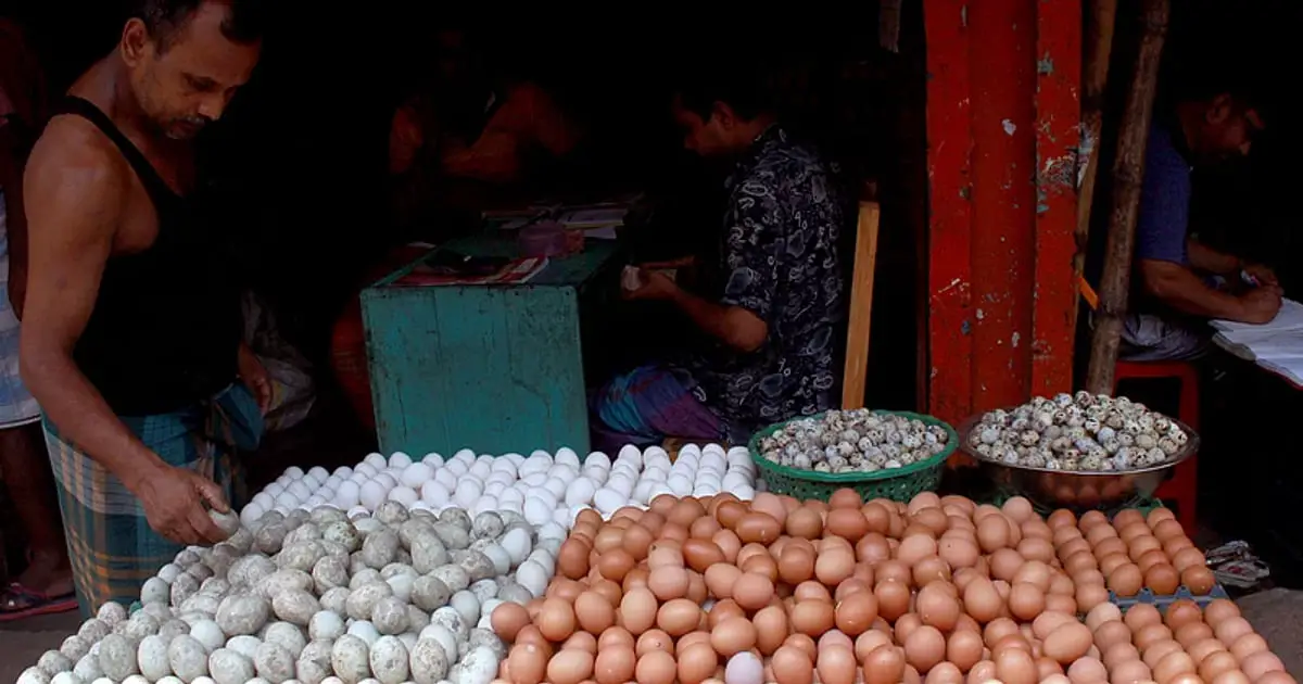 Government allows agencies to import 40 million eggs at lower prices