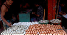 Egg prices in Bangladesh are more than double the global market prices