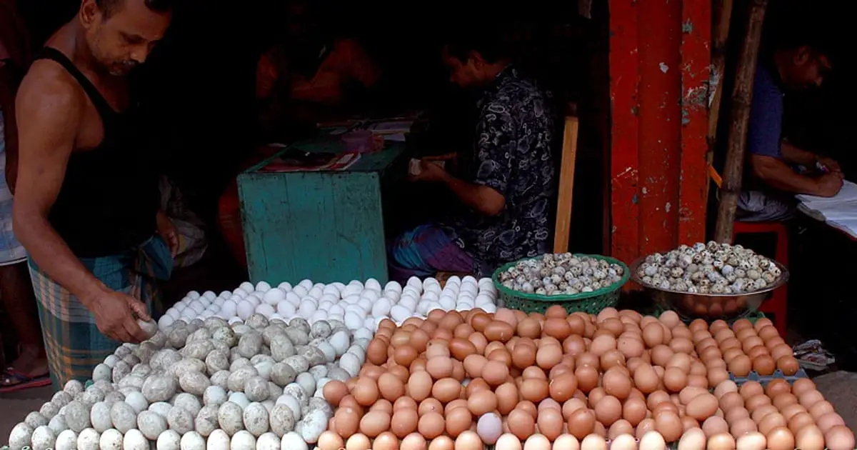 Egg prices in Bangladesh are more than double the global market prices