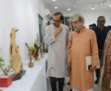 Driftwood art exhibition by AA Rasha begins in the city