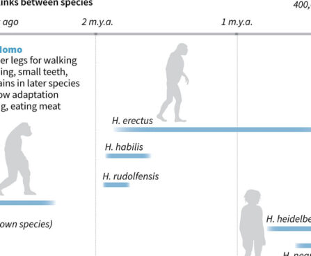 Doubts about claim of human ancestors almost extinct