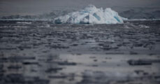 Despite record low ice, nations again fail to agree on Antarctic reserves
