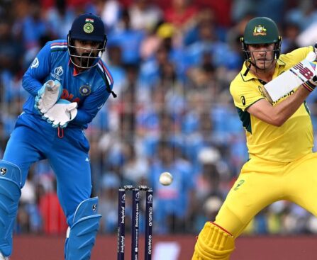 Prankster creates security scare at India, Australia World Cup match