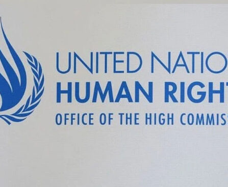 OHCHR calls on the government to show maximum restraint, uphold human rights