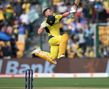 Australia's David Warner and Mitchell Marsh scored centuries against Pakistan to help Australia score 367-9 in the World Cup match in Bengaluru.