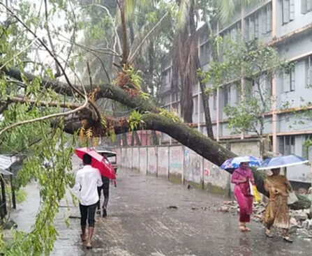 Power outage in Jhalkhati district: 29 hours of crisis due to breaking of National Grid cable in Cyclone Midhili