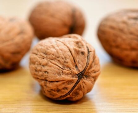 Walnuts: A bridge to better health as we age