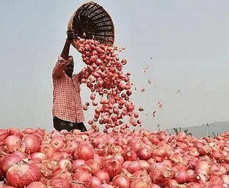 Government orders increased field-level surveillance to curb rising onion prices