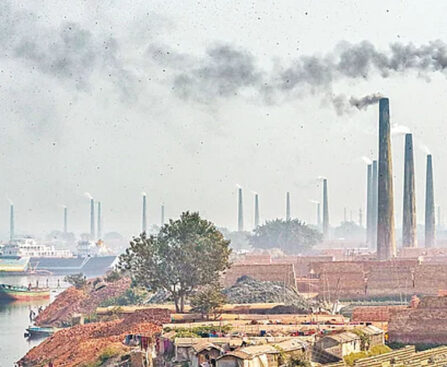 Growing threat of illegal brick kilns: Environmental disaster looms