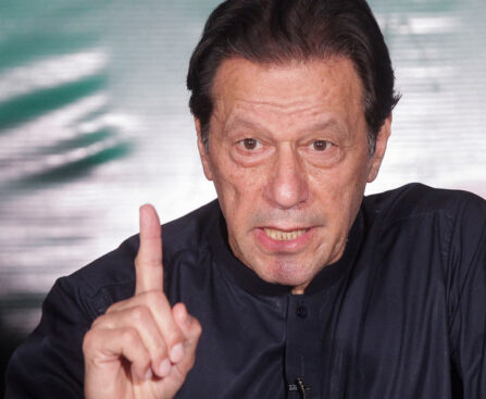 Imran Khan has got bail in 12 cases