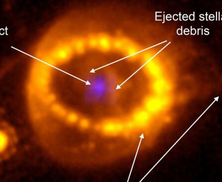 Scientists identify neutron star born from supernova seen in 1987