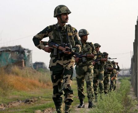 Bangladeshi killed in BSF firing: One killed, two injured in border clash
