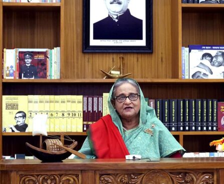 Awami League will never let the country's democracy be destroyed: PM Hasina