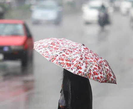 Rain in Dhaka, strong winds with speed up to 83 km/h