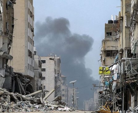 Israel must 'ensure immediate humanitarian assistance' to Gaza: ICJ