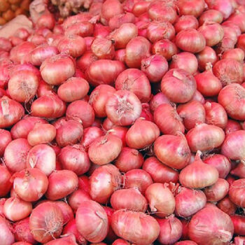 India lifts ban on onion exports, sets minimum export price at $550/tonne