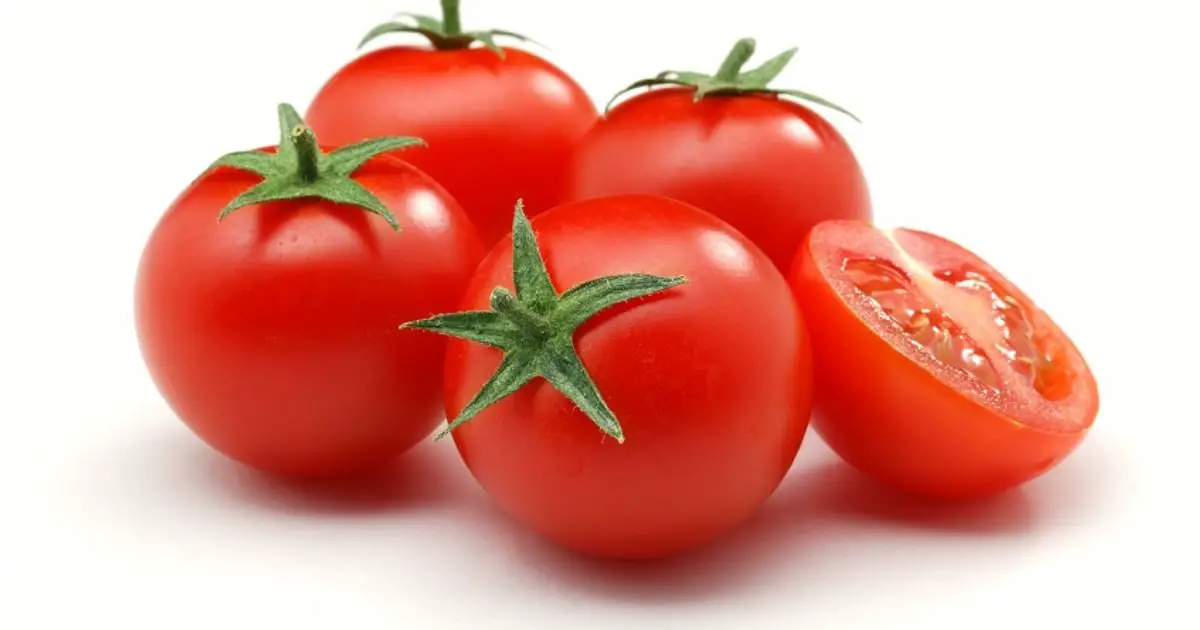 Health benefits of tomatoes for gut microbes explored