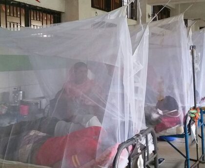 47 more dengue patients admitted to hospital in 24 hours