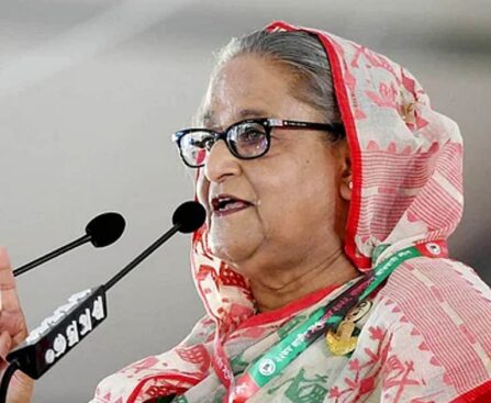 It is not easy to lead both the party and the government: PM Hasina