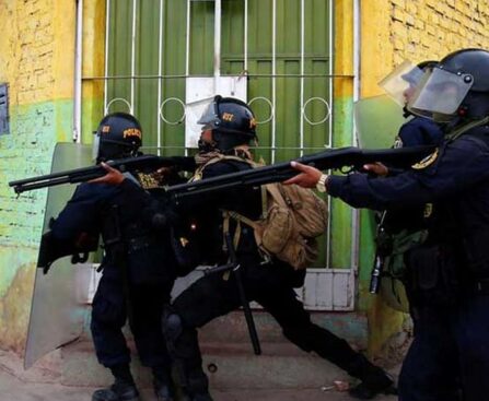 At least 12 killed in anti-government protests in southern Peru