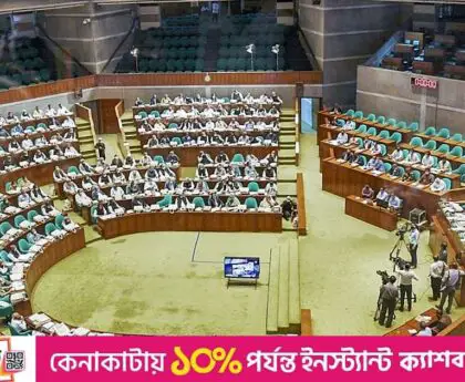 Parliament approves law allowing government to adjust electricity, energy prices