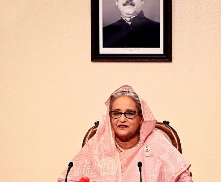 Don't campaign to obstruct the constitutional process: PM Hasina
