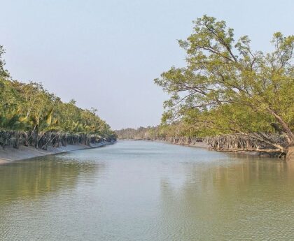 Bangladesh bans plastic in world's largest mangrove forest
