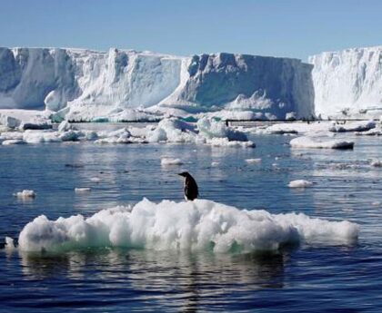Melting could affect Antarctic oceans 'for centuries'